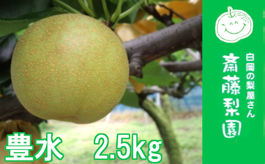 【2026年発送分 先行予約】白岡・下野田 斎藤さんちの美味しい梨　豊水　約2.5kg　【11246-0361】