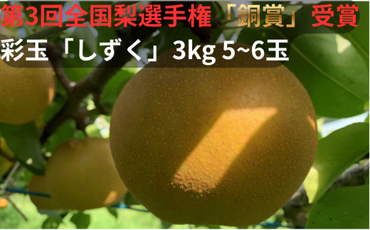 【2026年発送分 先行予約】アルファイノベーション株式会社　彩玉　3kg 5~6玉　「しずく」　【11246-0364】全国梨選手権　銅賞受賞