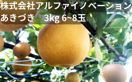 【2026年発送分 先行予約】アルファイノベーション株式会社　あきづき　3kg 6~8玉【11246-0366】
