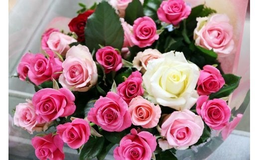 【約20本】生産者直送　有機栽培で育った朝切りバラの花束　【11246-0045】 約20本