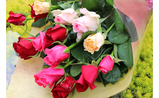 【約15本】生産者直送　有機栽培で育った朝切りバラの花束　【11246-0046】 約15本