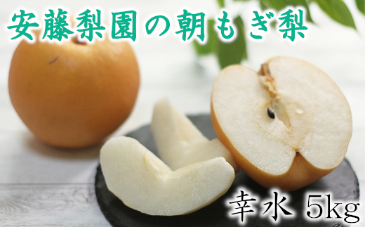 白岡　安藤梨園の朝もぎ梨　幸水　約5kg　【11246-0053】