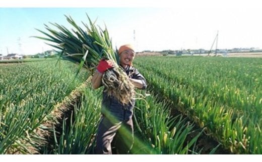 【詰め放題】ねぎセルフ収穫体験参加券（R8/1/10（土）～1/18（日））　【11246-0115】