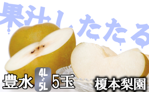 【先行予約】果汁したたる榎本梨園自慢の完熟梨　豊水5玉（4L～5L）【2025年9月上旬より発送】　【11246-0144】