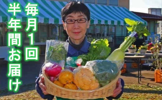 厳選・「おおばん市場」旬の野菜詰め合わせ　毎月1回半年間お届け定期便　【11246-0172】