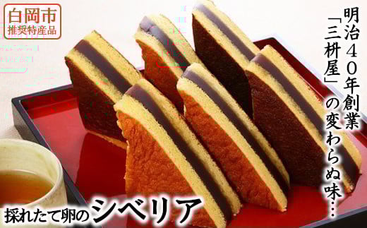 白岡市推奨特産品　明治40年創業「三枡屋」の採れたて卵のシベリア　【11246-0192】