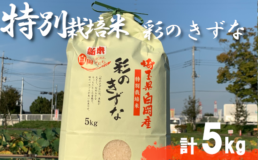 [令和6年産]特別栽培米 彩のきずな 5kg [11246-0107]