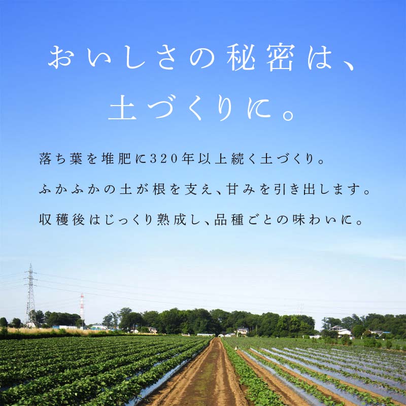 富の川越いも 5kg FAA-027