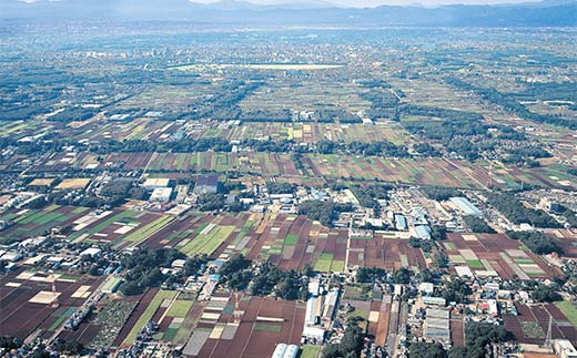 落ち葉野菜セット FAA-028