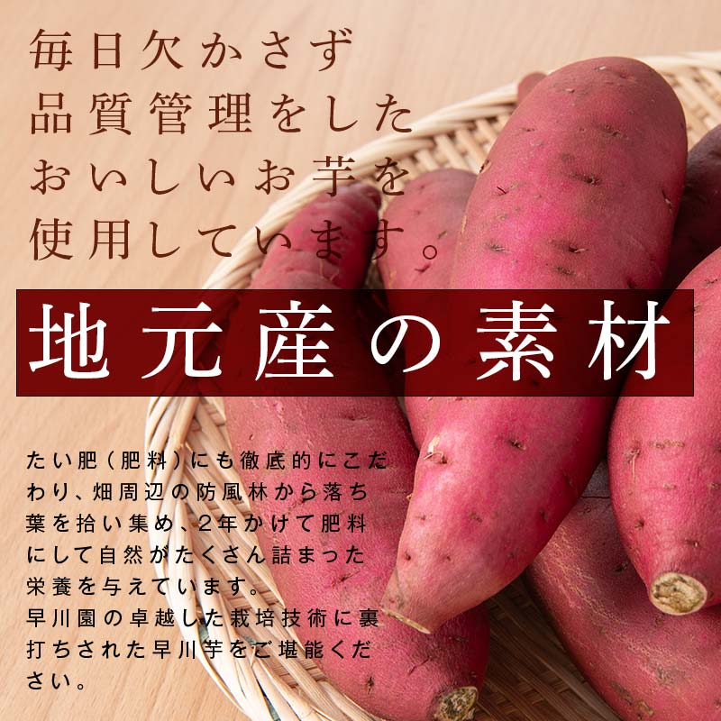 早川ポテト12個入り詰合せ ※離島への配送不可 FAA-162