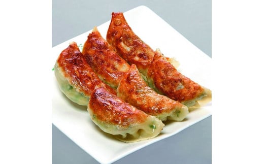 【焼くだけ簡単！化学調味料不使用 会員制高級中華 銀座飛雁閣】餃子3種セット(50ヶ) 本格中華 低糖質 健康 美容 広東風 焼き餃子 黒豚 大葉 冷凍 グルメ おかず ※沖縄県・離島への配送不可 FAA-174