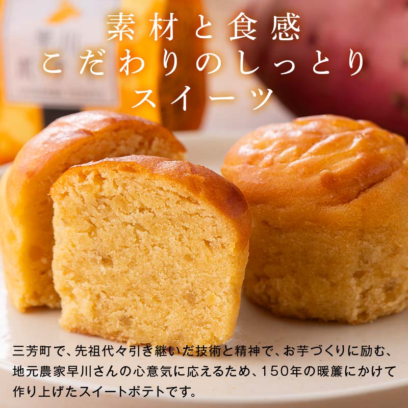 早川ポテト12個入り詰合せ ※離島への配送不可 FAA-162