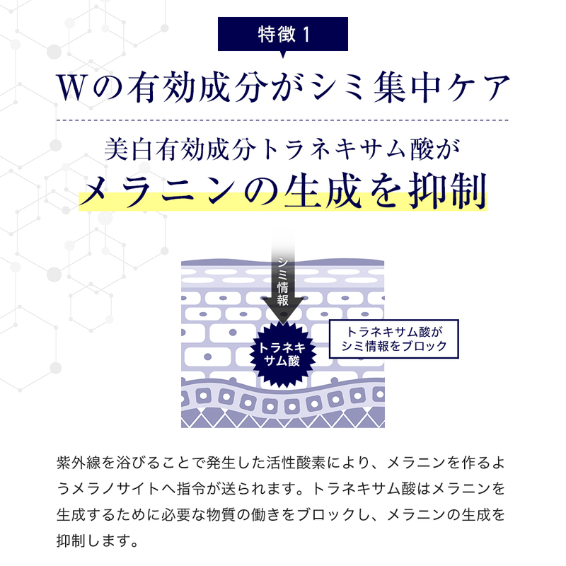 スキンベビー 美白化粧水 500ml×2個（約12ヶ月分） FAA-040