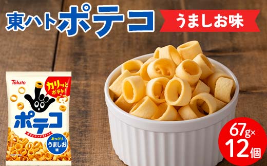 【指にはめて楽しく食べられる】東ハト ポテコ うましお味 21g×28個 スナック菓子 じゃがいも レギュラーサイズ 子供  こども おやつ お菓子  FAA-206