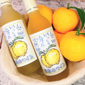 【ゆずのお酒】毛呂山ワイン（ゆず）　３６０ｍｌ×２本セット