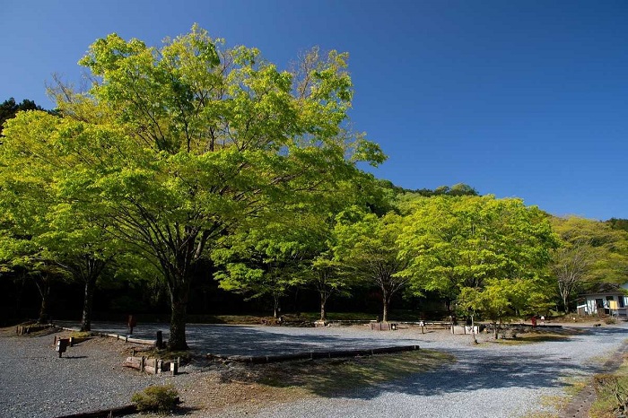 毛呂山町ゆずの里オートキャンプ場　砂利サイト　利用補助券