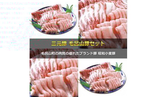 三元豚　毛呂山豚セット（豚ロース　豚バラ　スライス　計　２．２㎏）　肉　プチ贅沢