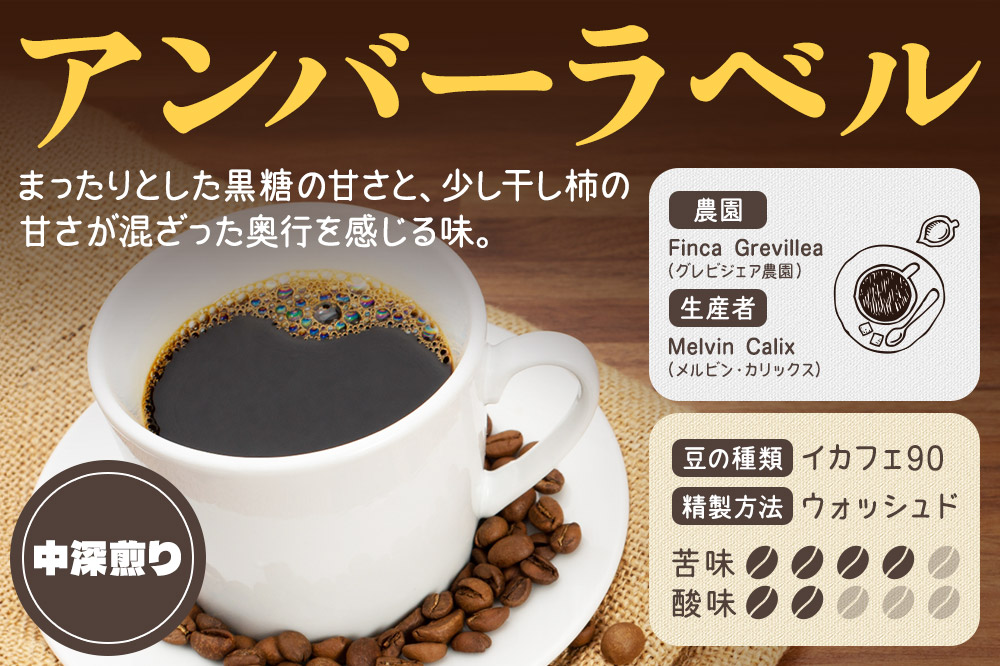 コーヒー豆 自家焙煎 ホンジュラス スペシャルティコーヒー ギフトセット【グランデ】焙煎豆100g×6パック 中挽き【アンバー】