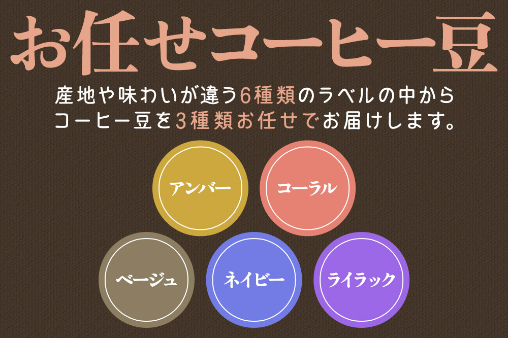 コーヒー豆 自家焙煎 ホンジュラス スペシャルティコーヒー【初回限定お試しセット】焙煎豆100g×3パック 豆のまま【豆：お任せ3種類】