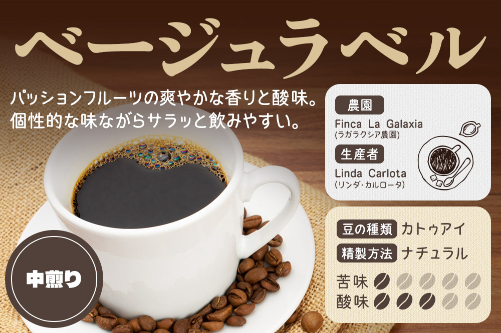 《定期便8ヶ月》コーヒー豆 自家焙煎 ホンジュラス スペシャルティコーヒー 焙煎豆 200g×1パック 中挽き【ベージュ】
