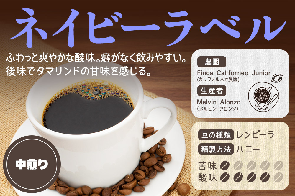 コーヒー豆 自家焙煎 ホンジュラス スペシャルティコーヒー ギフトセット【ペケーニョ】焙煎豆100g×2パック 豆のまま【ネイビー】