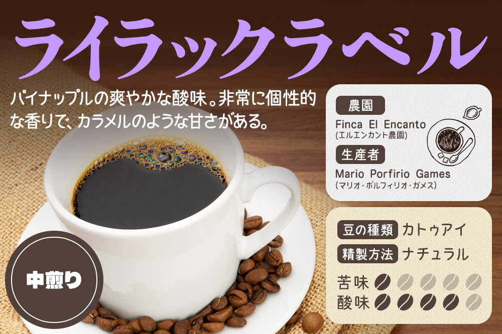 コーヒー豆 自家焙煎 ホンジュラス スペシャルティコーヒー 焙煎豆 200g 細挽き【ライラック】