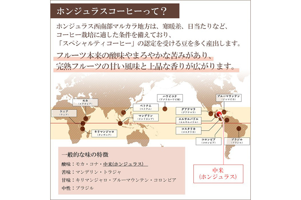 《定期便12ヶ月》コーヒー豆 自家焙煎 ホンジュラス スペシャルティコーヒー 焙煎豆 200g×1パック 豆のまま【ライラック】