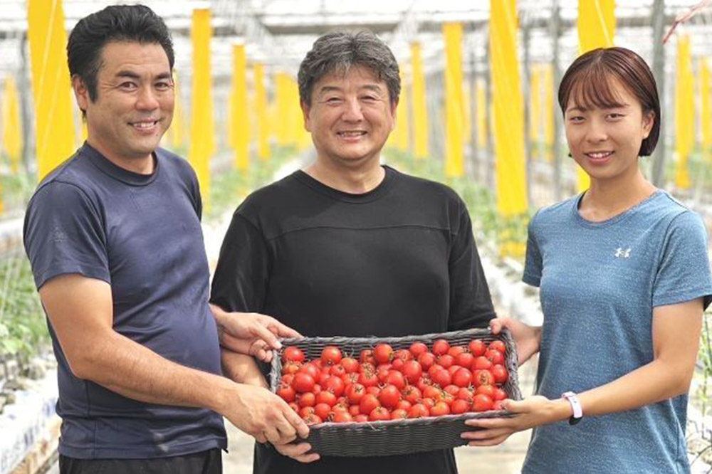 彩トマト 1kg 埼玉県産 ミニトマト