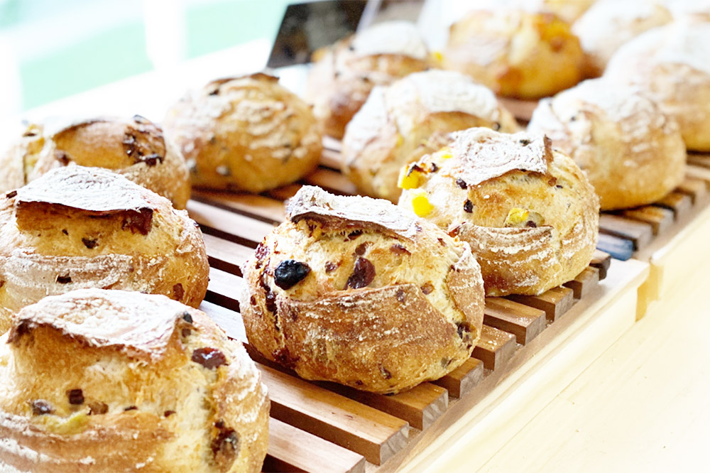 ぱん工房たろたろ カンパーニュ 6個セット