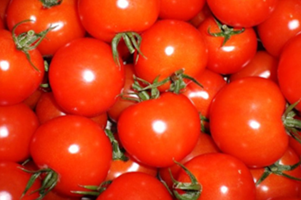 中玉トマト（フルティカ）3kg 埼玉県産 トマト