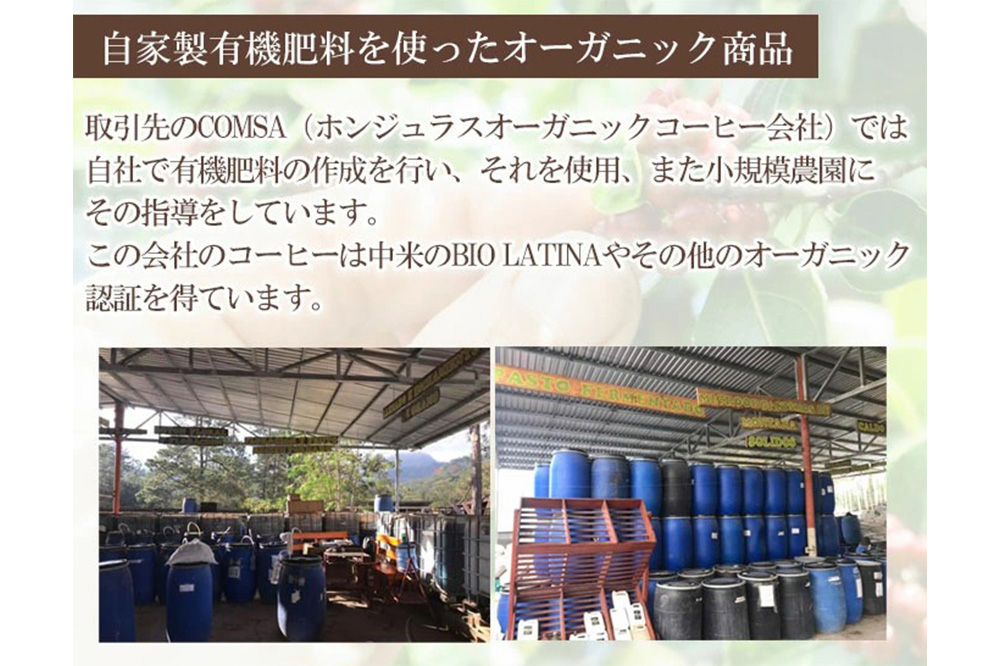 コーヒー豆 自家焙煎 ホンジュラス スペシャルティコーヒー 焙煎豆 200g 中挽き【ネイビー】