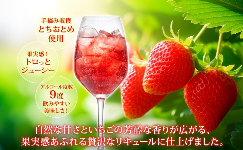 いちごのお酒 「太陽の物語」500ml 6本セット とちおとめ リキュール 洋酒 いちご 苺 果実 果物 フルーツ アルコール ジューシー 炭酸割 ロック 宅飲み 女子会 お取り寄せ ギフト こだわりお祝い 贅沢 瓶 引っ越し祝い 関根国太郎商店