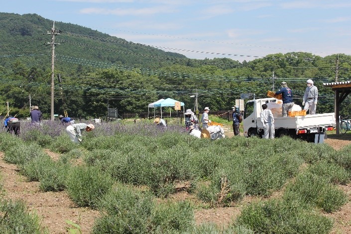 嵐山町産ラベンダー製品セット