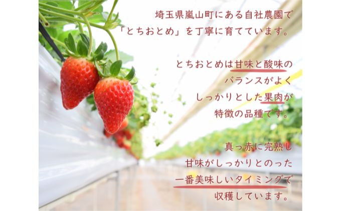 埼玉県嵐山町産いちご使用 特製いちごジャム3本セット