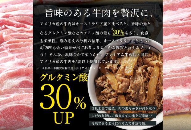 牛丼 松屋 乳酸菌入 プレミアム仕様 牛めしの具 30個 冷凍 セット