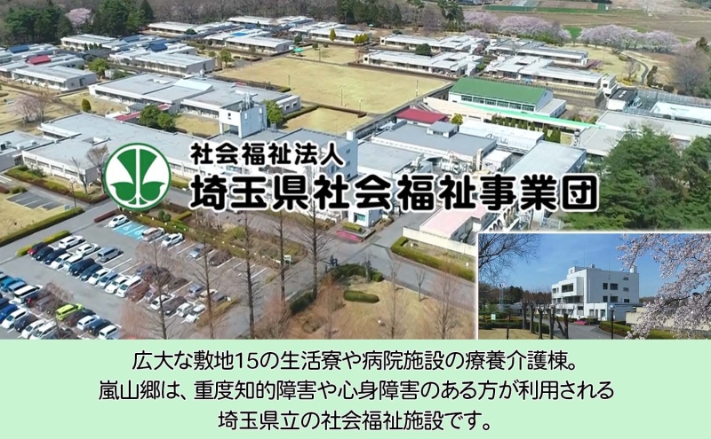 嵐山郷 さをり織り 反物 暖色系 約300cm×約20cm 手織り生地 雑貨 ハンドメイド 手作り 個性 ストール テーブルセンター ランチョンマット バッグ ポーチ 小物雑貨 不揃い 送料無料 福祉 綿 化繊 麻 ウール 埼玉県 嵐山町