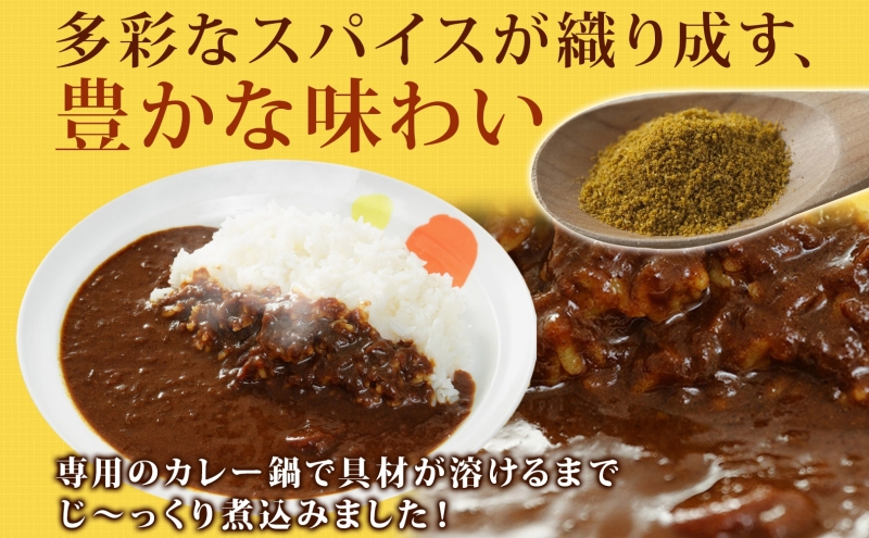 隔月 2回 松屋 オリジナル カレーの具 180g 10袋 カレー レトルトカレー 辛口 スパイス カレギュウ レトルト 冷凍 時短 簡単 便利 レンチン おかず 保存食 備蓄 お取り寄せ グルメ 埼玉県 嵐山町