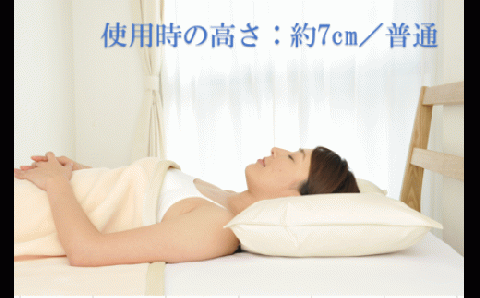 一般的な高さの羽根枕　1個
