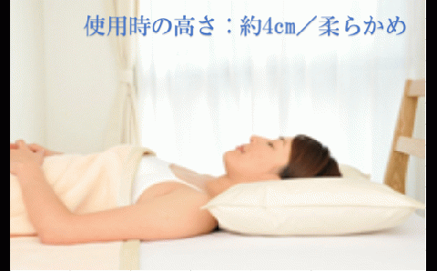 ちょっと低めの羽根枕(高さ4cm)