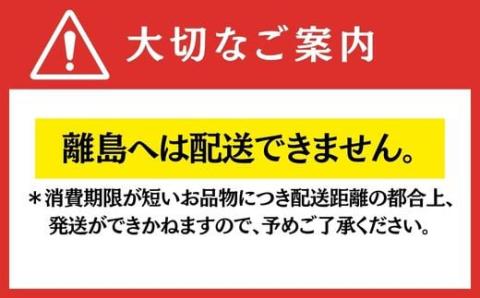 【期間限定】とちおとめ 大玉のみを厳選してお届け1パック約330ｇ（容器含む）6粒～12粒程度 4パックセット 計約1,320ｇ（容器含む） 土耕栽培いちご こだわりとちおとめ