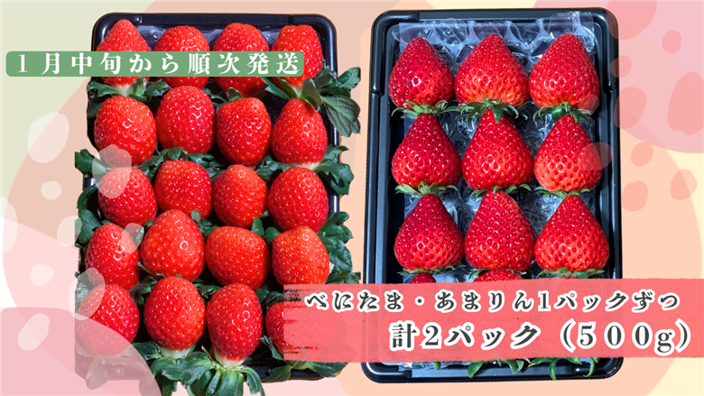 ※先行受付【いちご食べ比べ】人気あまりん　新品種べにたま　2品種食べ比べ　どらちゃん農園