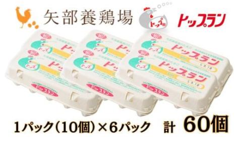 【矢部養鶏場のたまご】こだわりのブランドたまご　トップラン60個（10個パック×6）お取り寄せ 新鮮 ニワトリ 鶏 卵 たまご 玉子 タマゴ 卵かけご飯 TKG 人気 おすすめ 矢部養鶏場 川島町