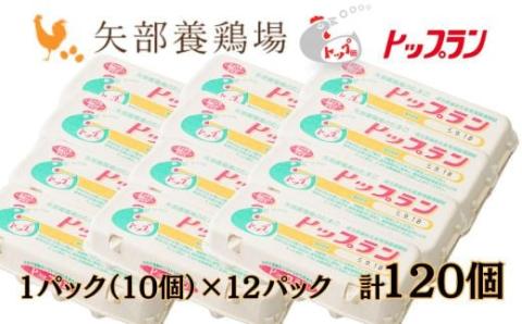 【矢部養鶏場のたまご】こだわりのブランドたまご　トップラン120個（10個パック×12）お取り寄せ 新鮮 ニワトリ 鶏 卵 たまご 玉子 タマゴ 卵かけご飯 TKG 人気 おすすめ 矢部養鶏場 川島町