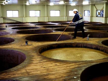 人気万能調味料 味くらべ3本セット 金笛春夏秋冬だしの素 500ml×1本 春夏秋冬うすいろだしの素 500ml×1本 春夏秋冬だしの素糖質50％OFF 500ml×1本 合計3本の贅沢セット 無添加