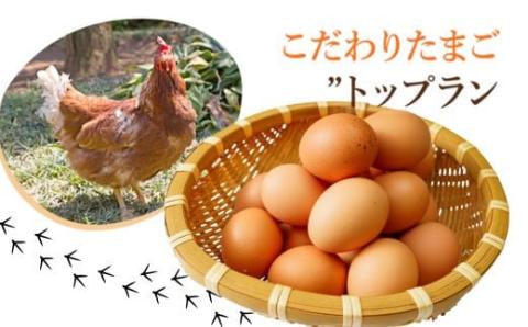 【矢部養鶏場のたまご】こだわりのブランドたまご　トップラン120個（10個パック×12）お取り寄せ 新鮮 ニワトリ 鶏 卵 たまご 玉子 タマゴ 卵かけご飯 TKG 人気 おすすめ 矢部養鶏場 川島町