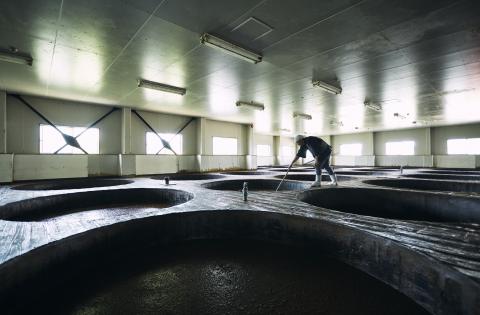 金笛　春夏秋冬だしの素、胡麻ドレッシングのセット(各１本)