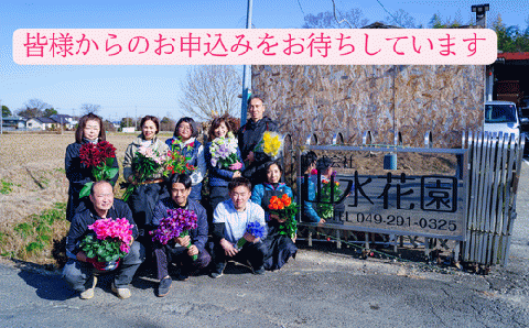 【ご要望にお応え】季節の生花 花束 3,000円相当 高さ約60㎝ 幅約30㎝ ギフト 贈り物 プレゼント 花束 誕生日 母の日 父の日 敬老の日 記念日 アレンジ