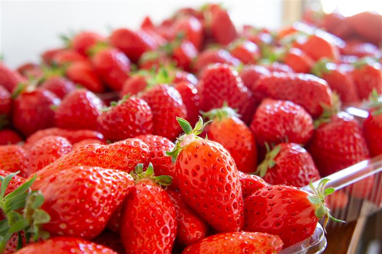 【季節限定】いちごのパウンドケーキ 人気 おすすめ 絶品 スイーツ ケーキ こだわり フランス菓子