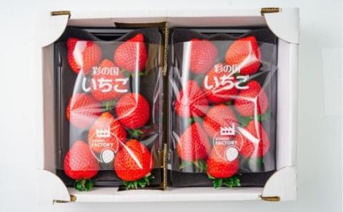 【期間限定】とちおとめ 大玉のみを厳選してお届け1パック約330ｇ（容器含む）6粒～12粒程度 2パックセット 計約660ｇ（容器含む） 土耕栽培いちご こだわりとちおとめ