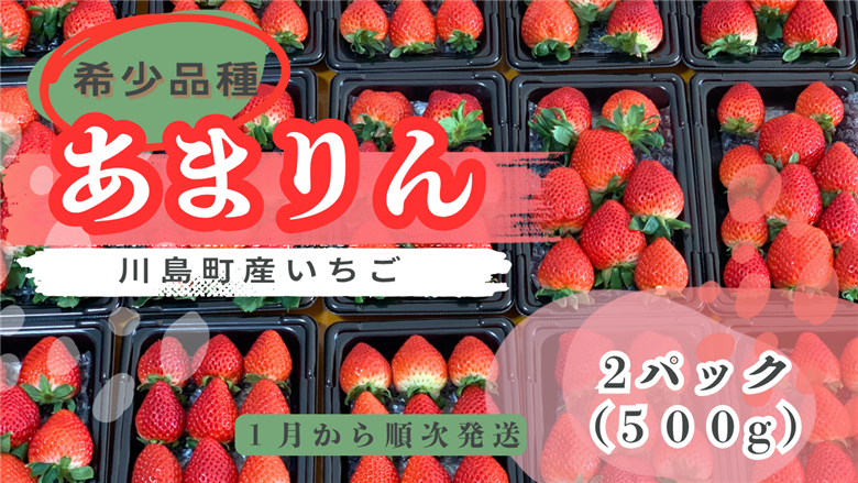 ※先行受付【希少あまりん】朝採れ！いちご　あまりん2パック（500g）どらちゃん農園　人気　あまりん　希少国産 埼玉県 川島町産 完熟いちご 期間限定